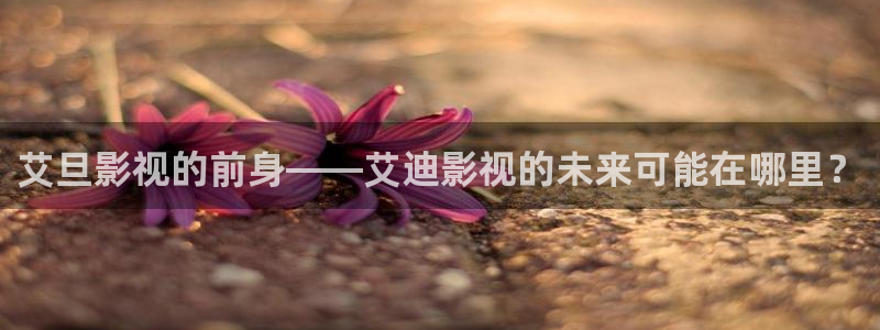 泡泡影视影视大全：艾旦影视的前身——艾迪影视的未来可能在哪里？
