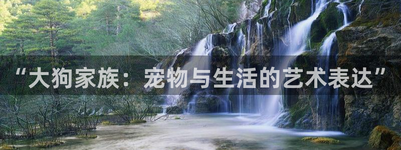 泡泡影院电影观看：“大狗家族：宠物与生活的艺术表达”