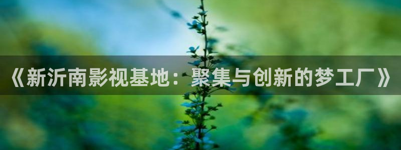 泡泡视频在线观看：《新沂南影视基地：聚集与创新的梦工厂》