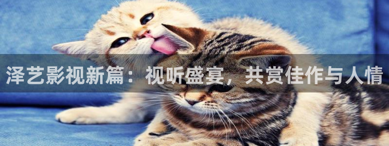 泡泡影院影视大全：泽艺影视新篇：视听盛宴，共赏佳作与人情