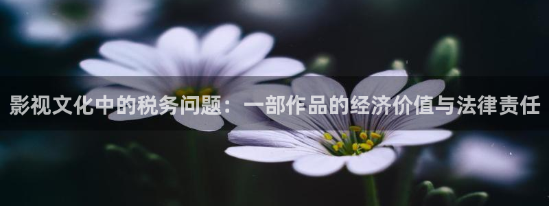 泡泡洗衣片好用吗：影视文化中的税务问题：一部作品的经济价值与法律责任