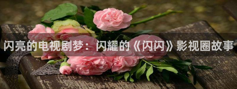 泡泡 影视：闪亮的电视剧梦：闪耀的《闪闪》影视圈故事