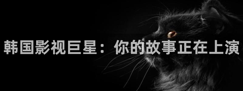 泡泡影院神马：韩国影视巨星：你的故事正在上演