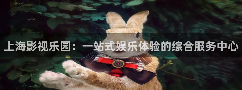 泡泡影院在线：上海影视乐园：一站式娱乐体验的综合服务中心