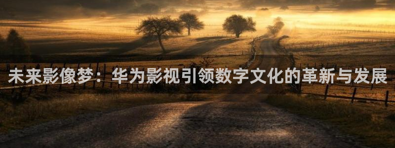 泡泡电影在线：未来影像梦：华为影视引领数字文化的革新与发展